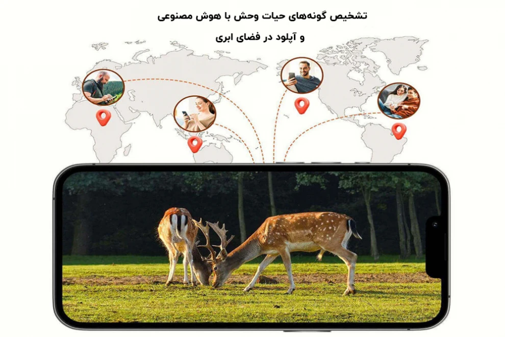 تشخیص گونه حیات وحش و آپلود در فضای ابری در دوربین هوش مصنوعی