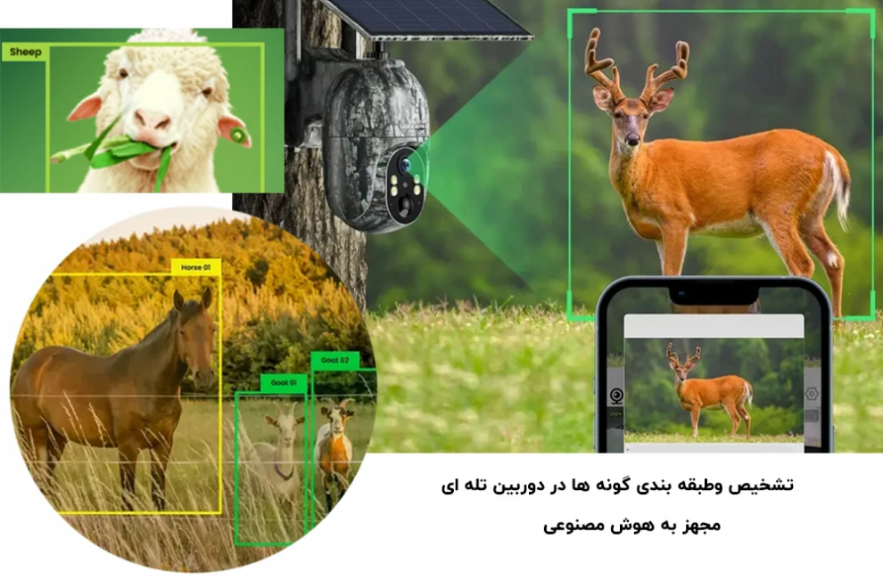 تشخیص گونه حیوانات در دوربین تله ای با هوش مصنوعی